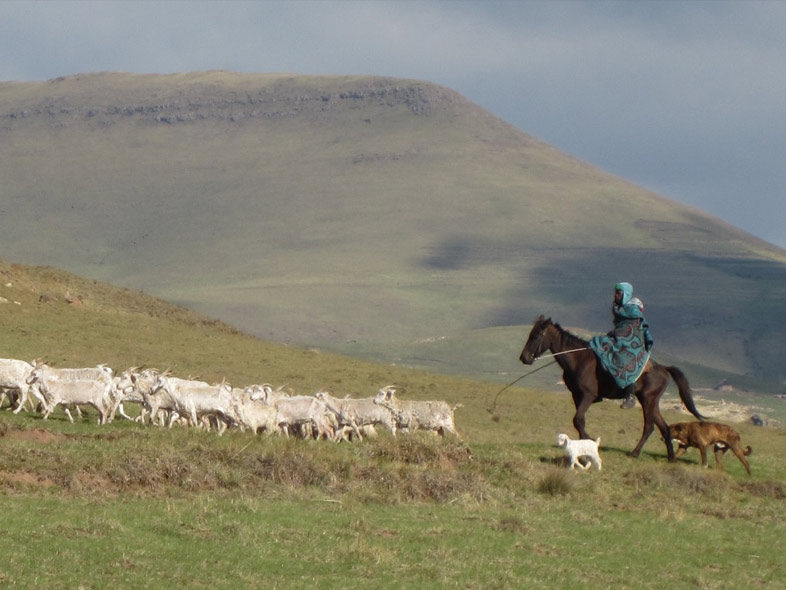 Saga of the Sani Pass & Mokhotlong Tour | Sani Pass Tours