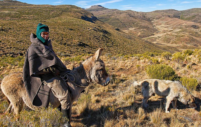 Extended Cultural Lesotho Day Tour - Lesotho man on Donkey Sanipasstours.com